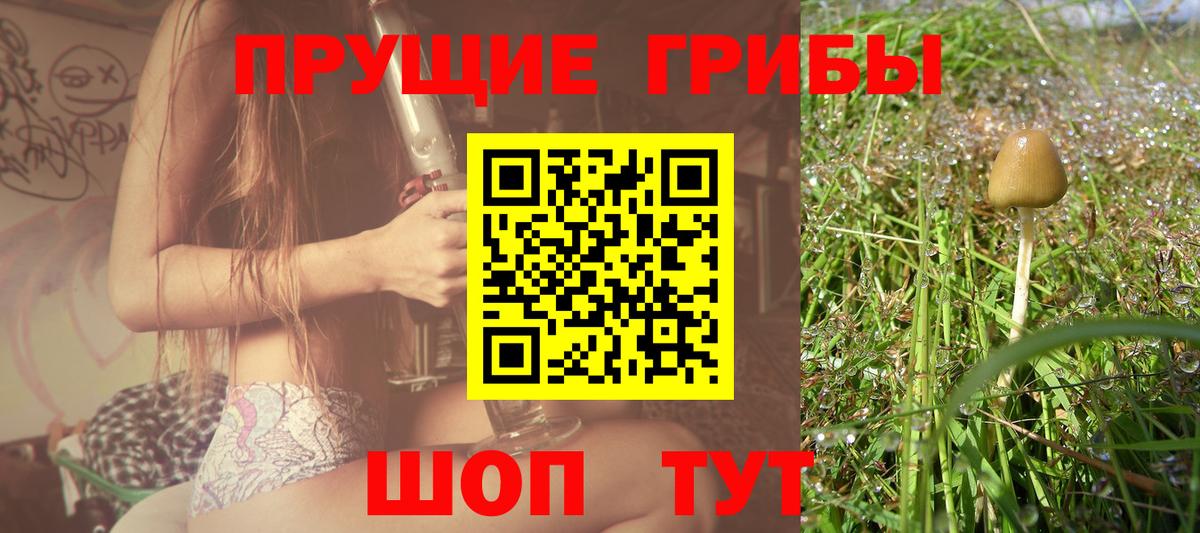 Галлюциногенные грибы Cubensis  Вход с VPN  Галлюциногенные грибы мицелий  Волгодонск 